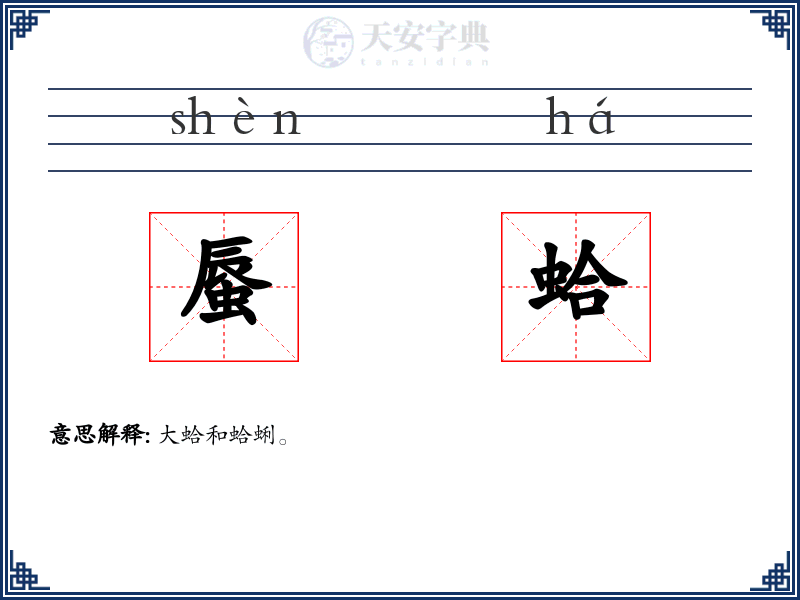 蜃蛤