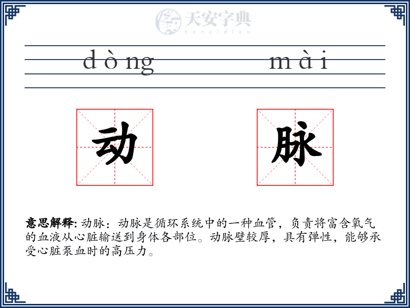 动脉