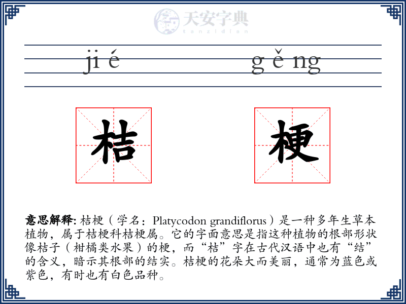 桔梗
