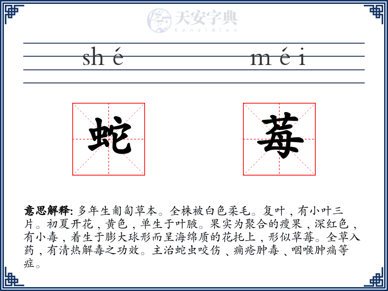 蛇莓