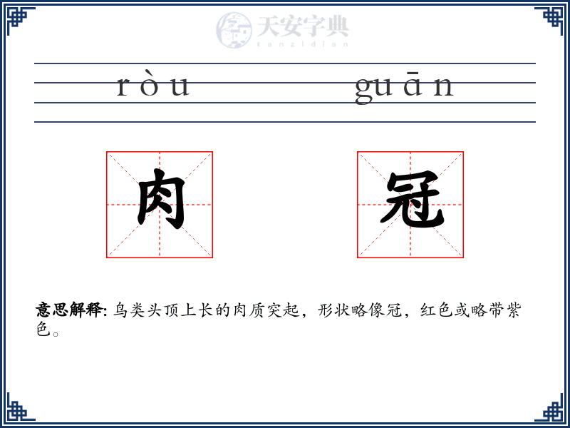 肉冠