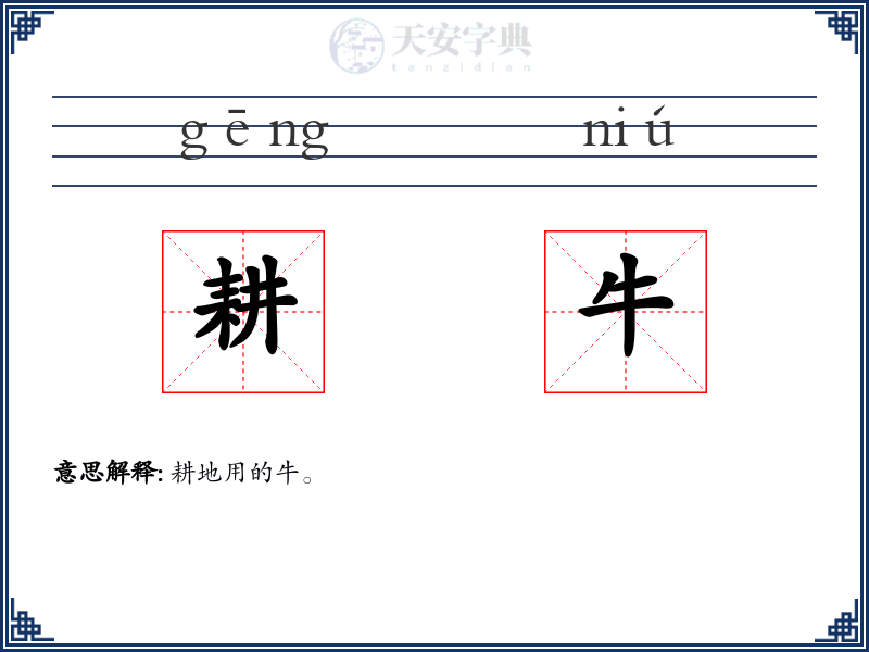 耕牛