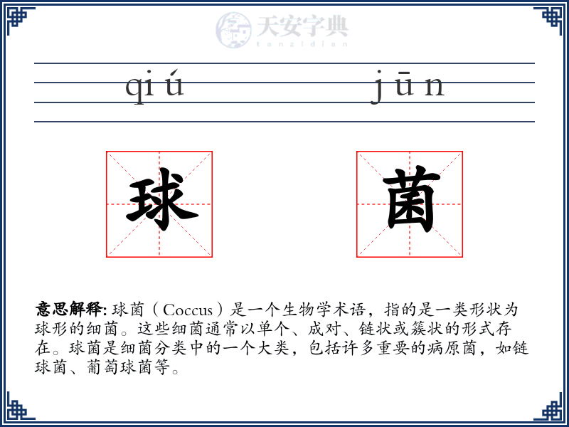 球菌