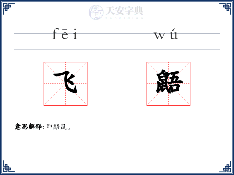 飞鼯