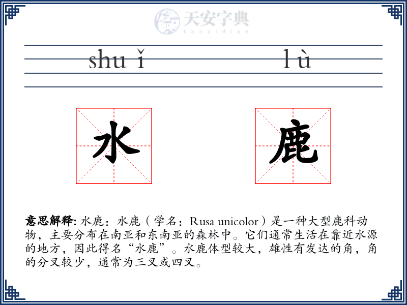 水鹿