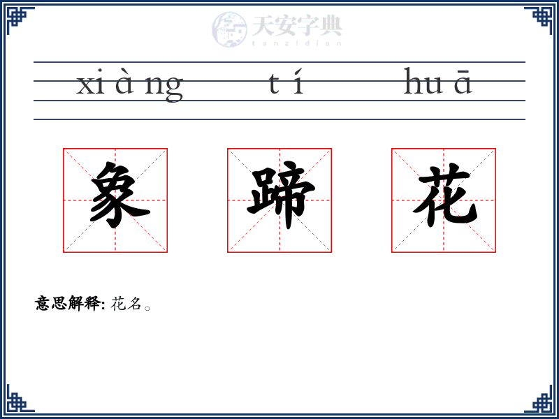 象蹄花
