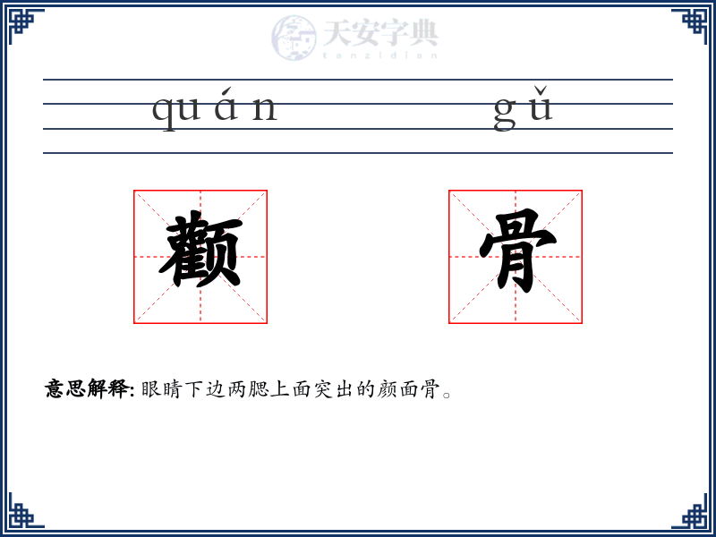 颧骨