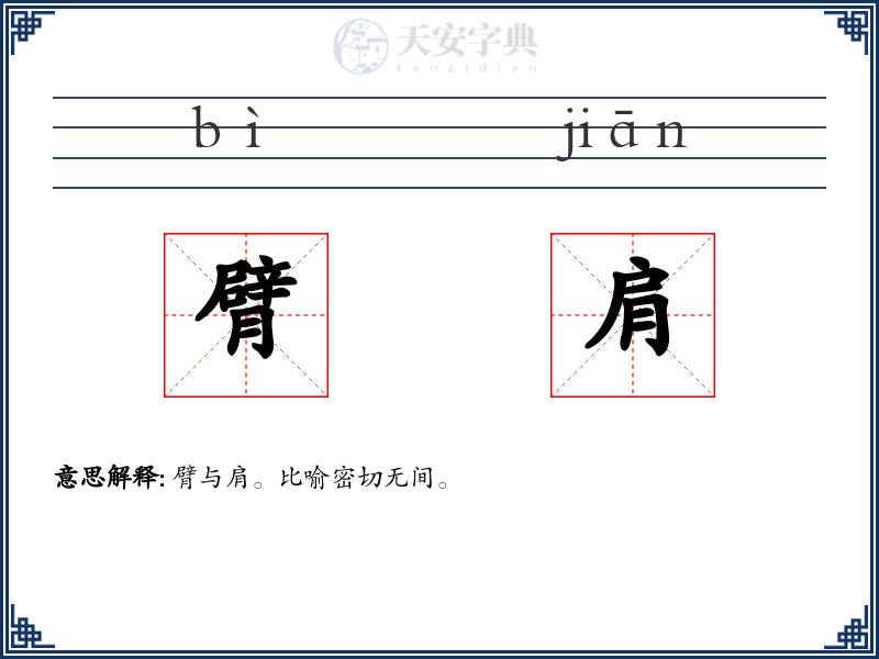 臂肩