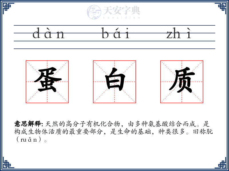 蛋白质