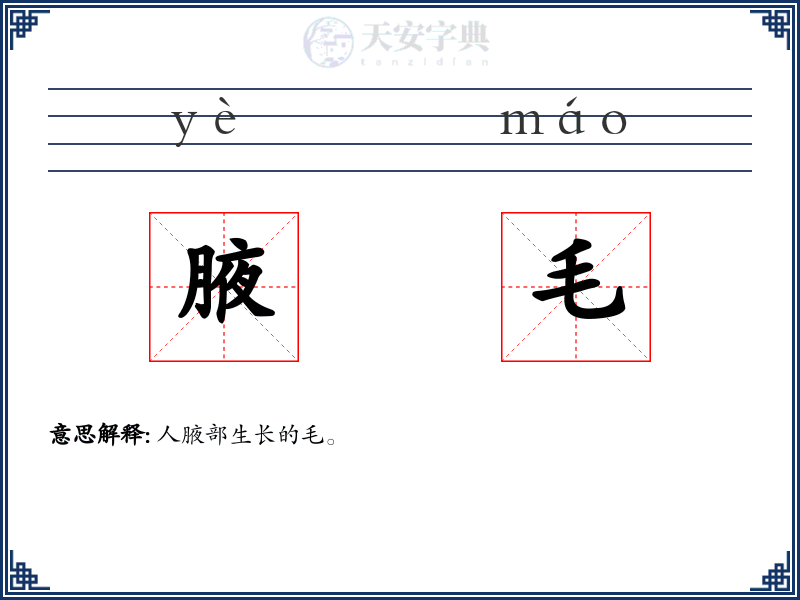 腋毛