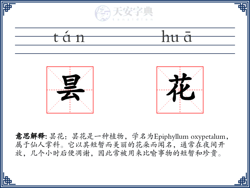 昙花