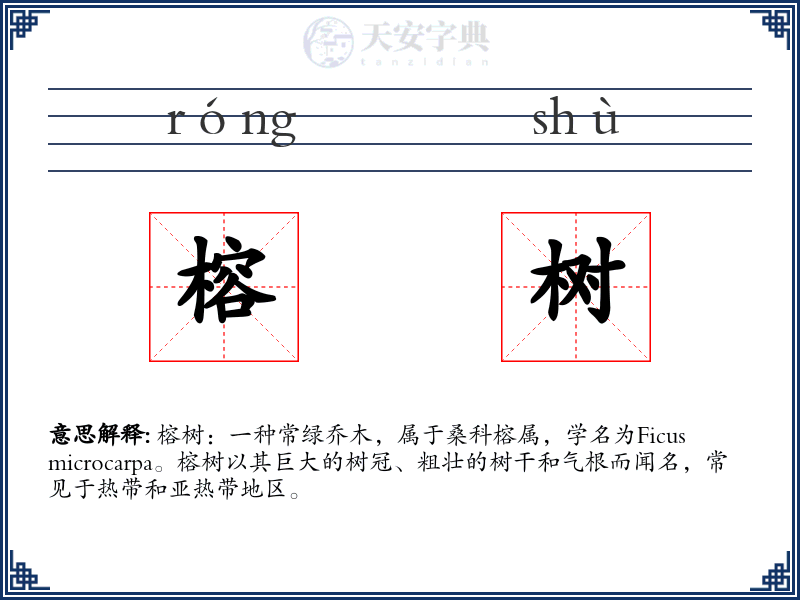 榕树