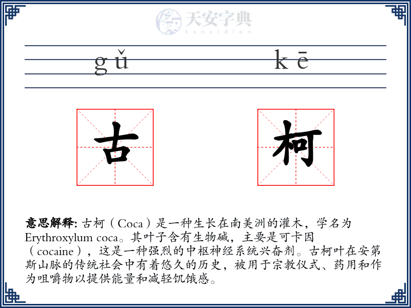 古柯