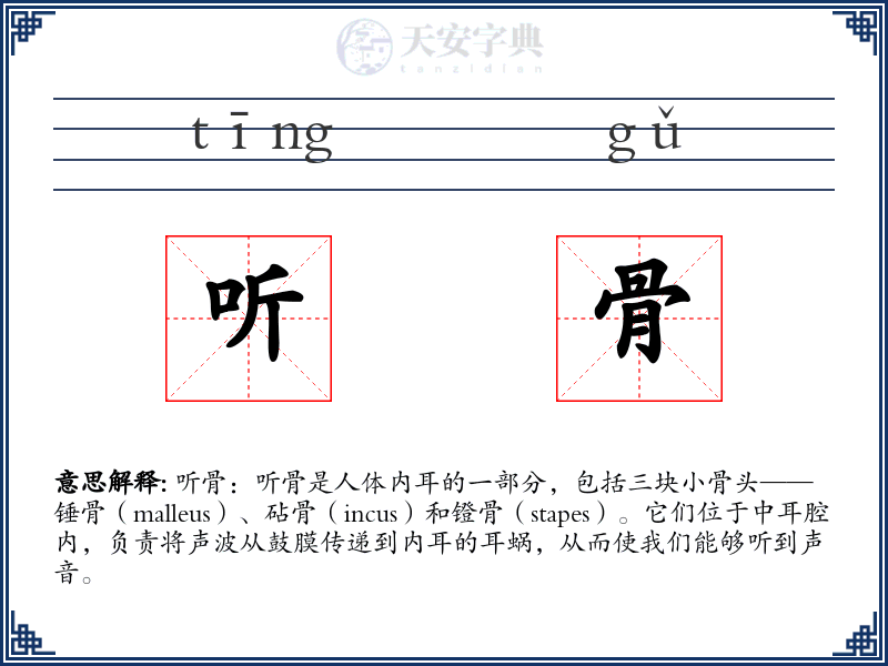 听骨