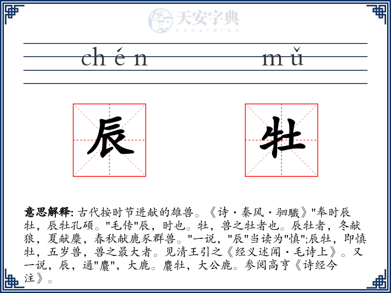 辰牡