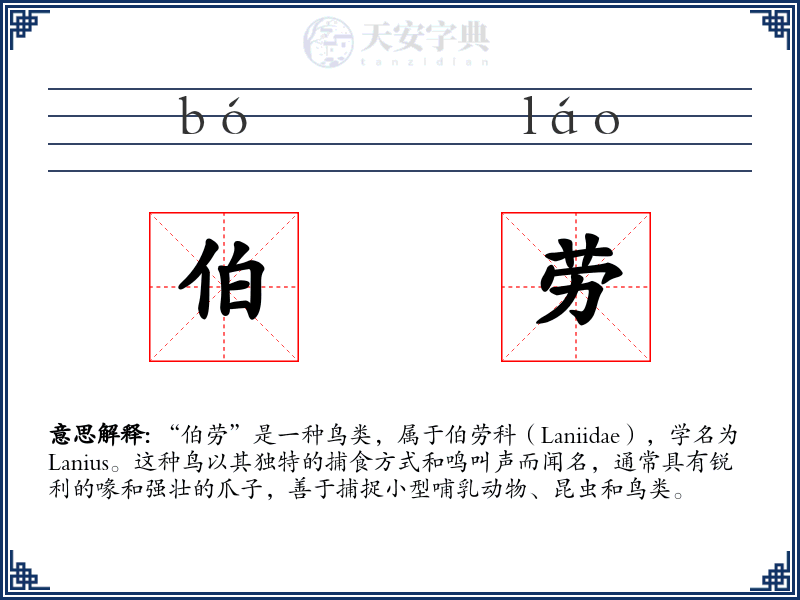 伯劳