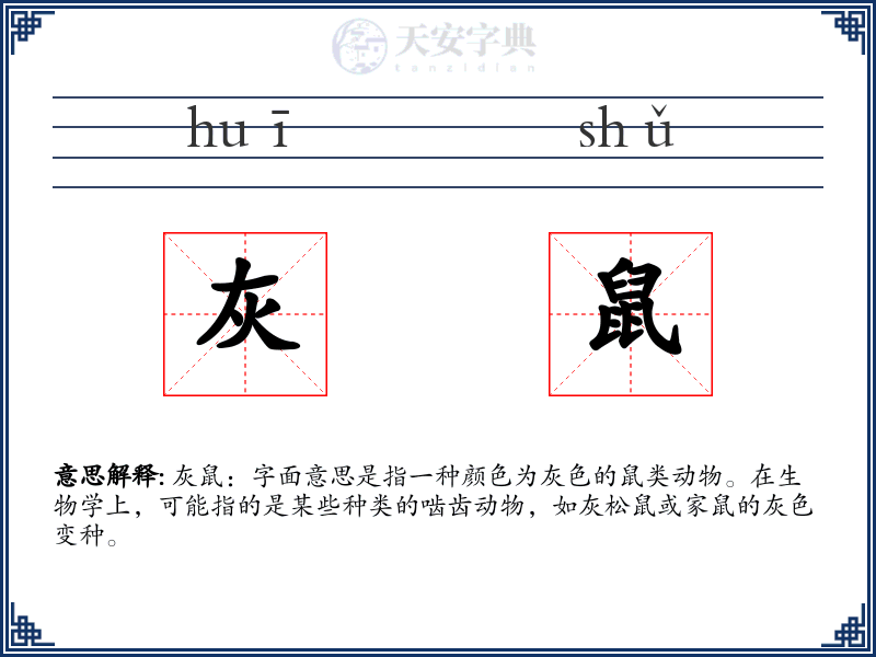灰鼠