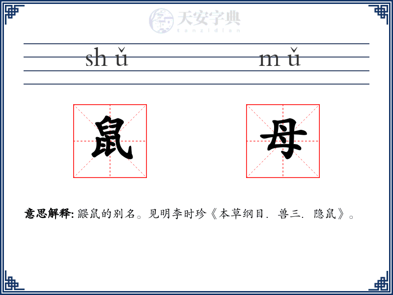 鼠母