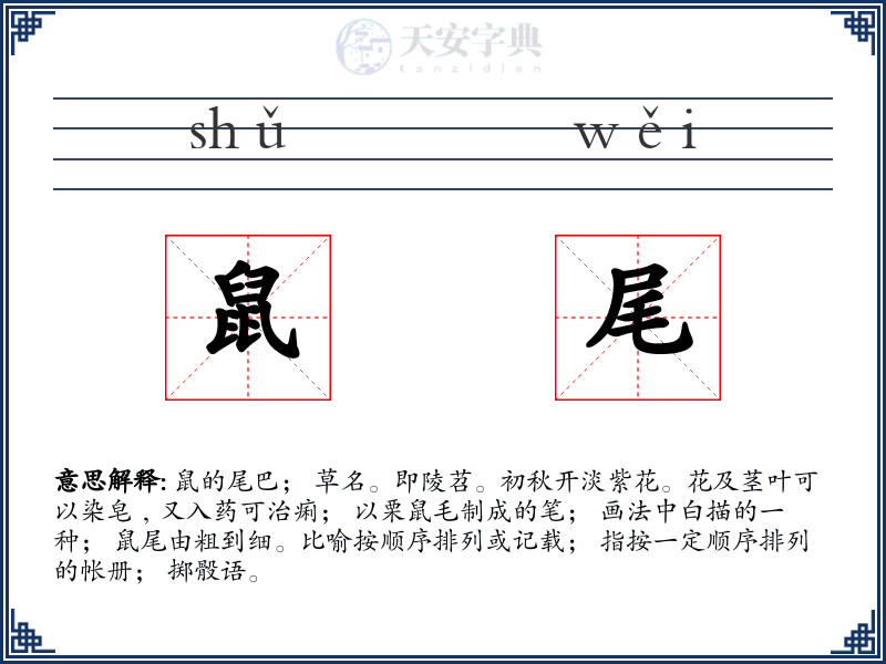 鼠尾