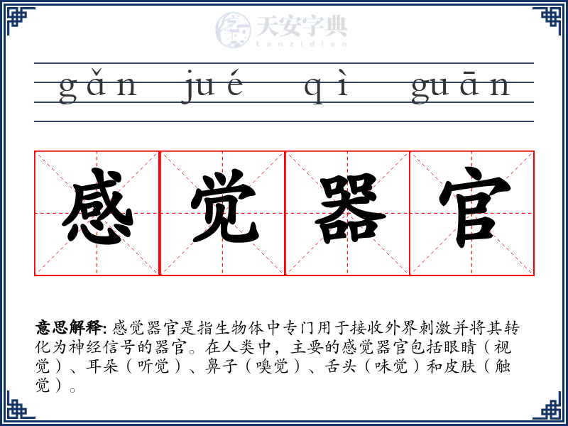 感觉器官