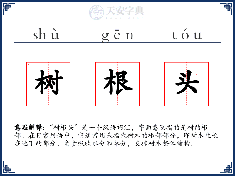 树根头