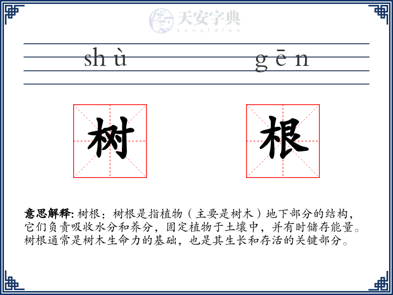 树根