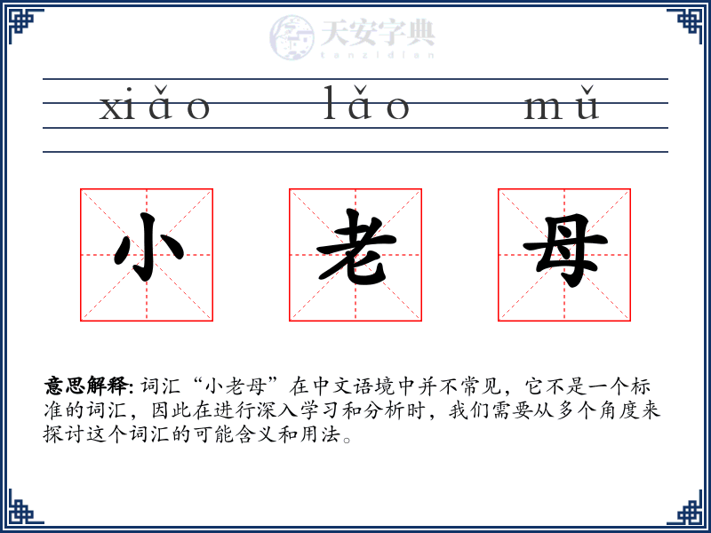 小老母