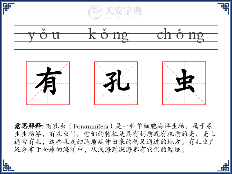 有孔虫
