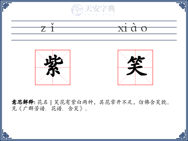 紫笑