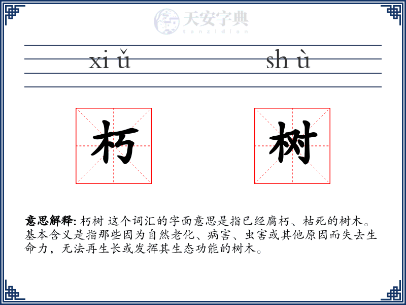 朽树