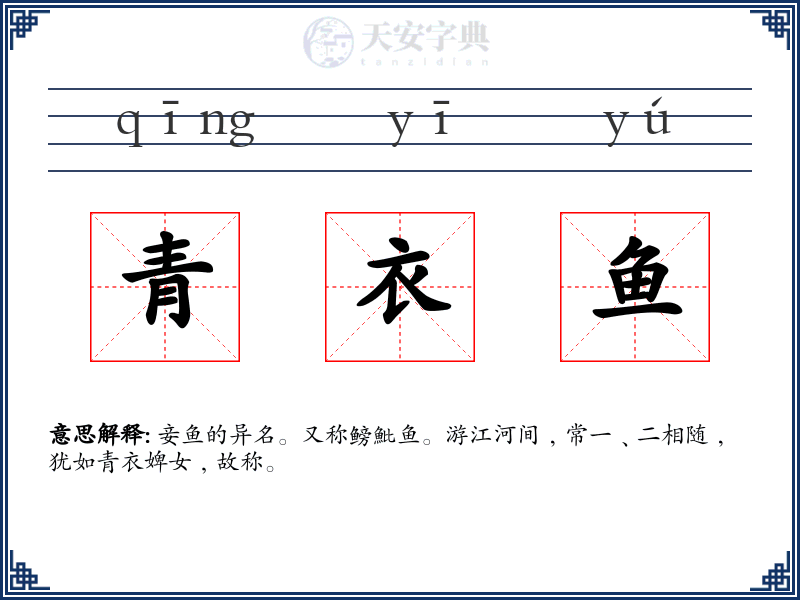 青衣鱼
