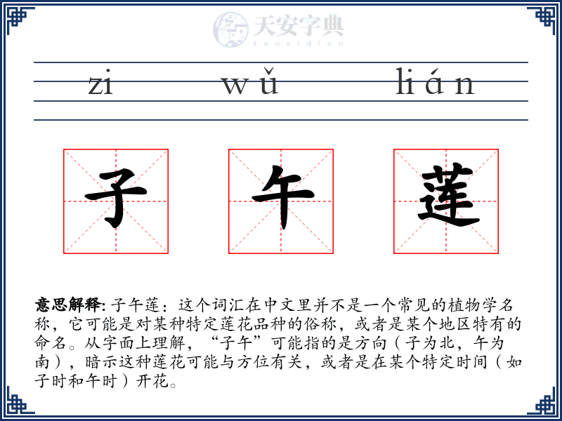 子午莲