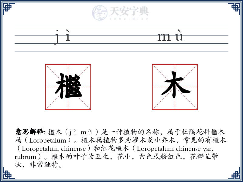檵木