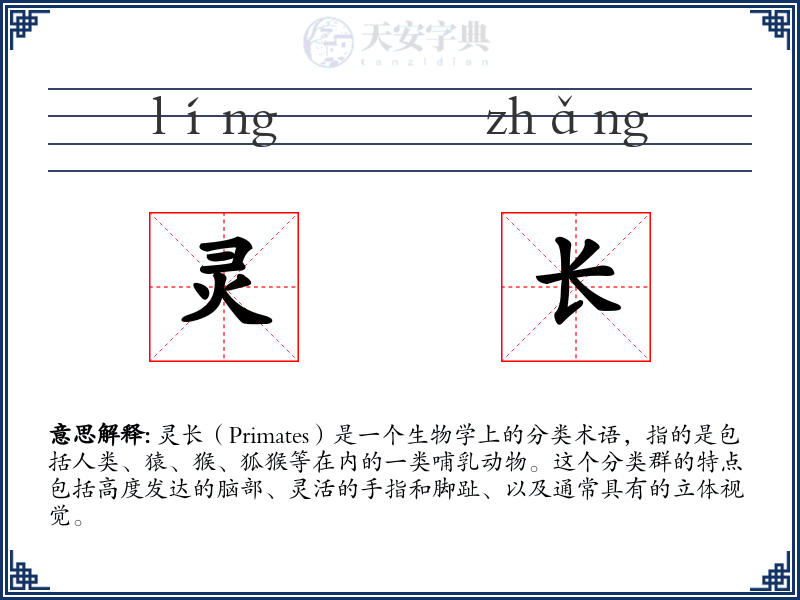 灵长