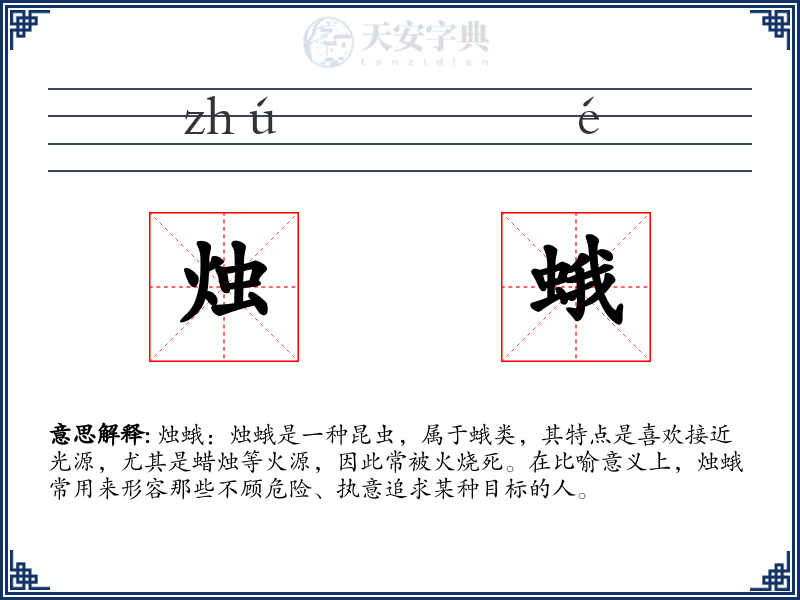 烛蛾