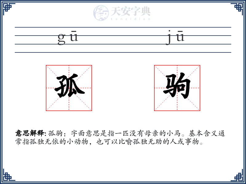 孤驹