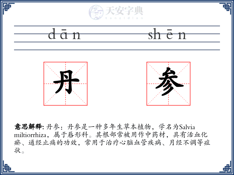 丹参