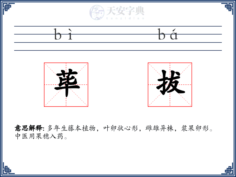 荜拔