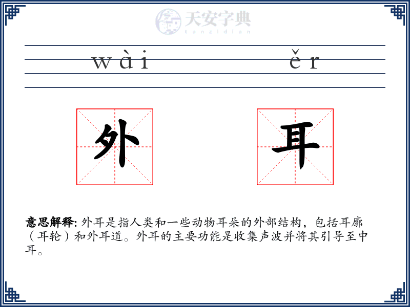 外耳