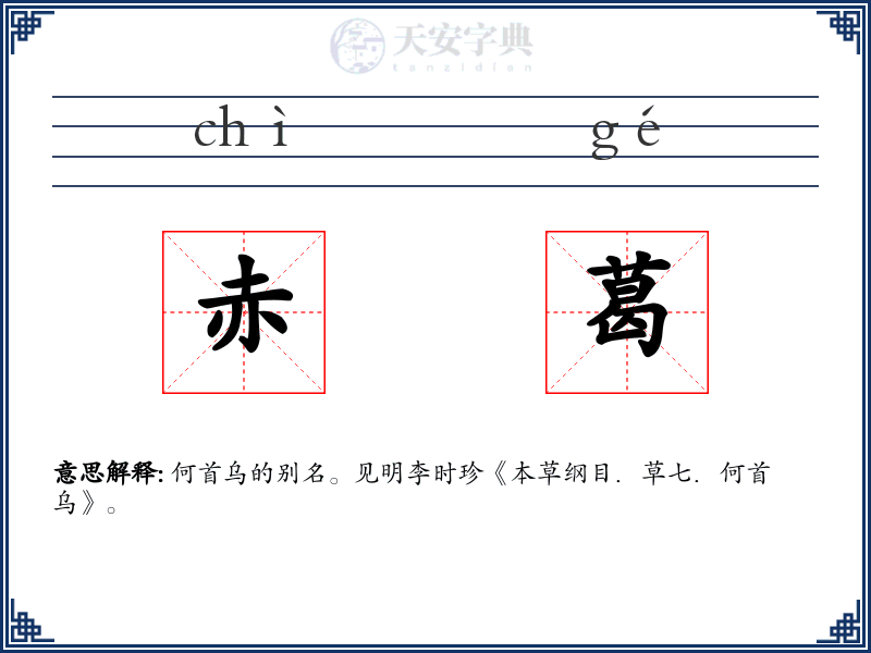 赤葛