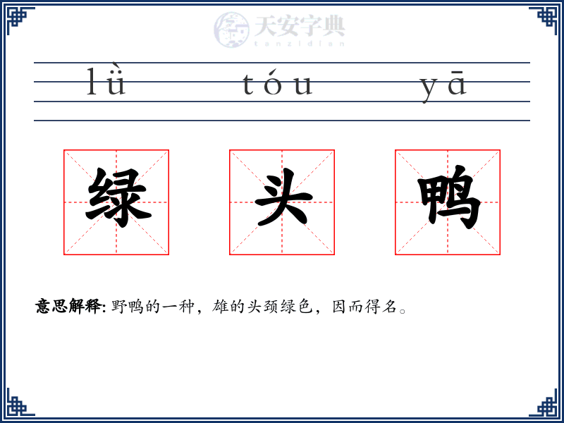 绿头鸭
