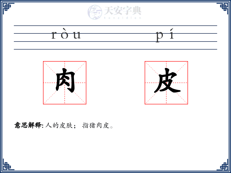 肉皮