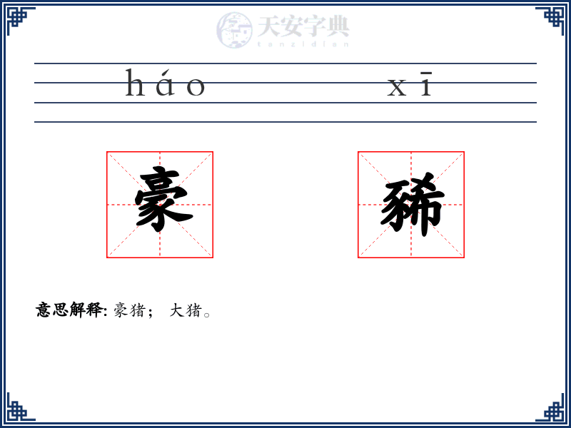 豪豨