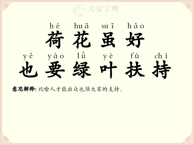 荷花虽好，也要绿叶扶持