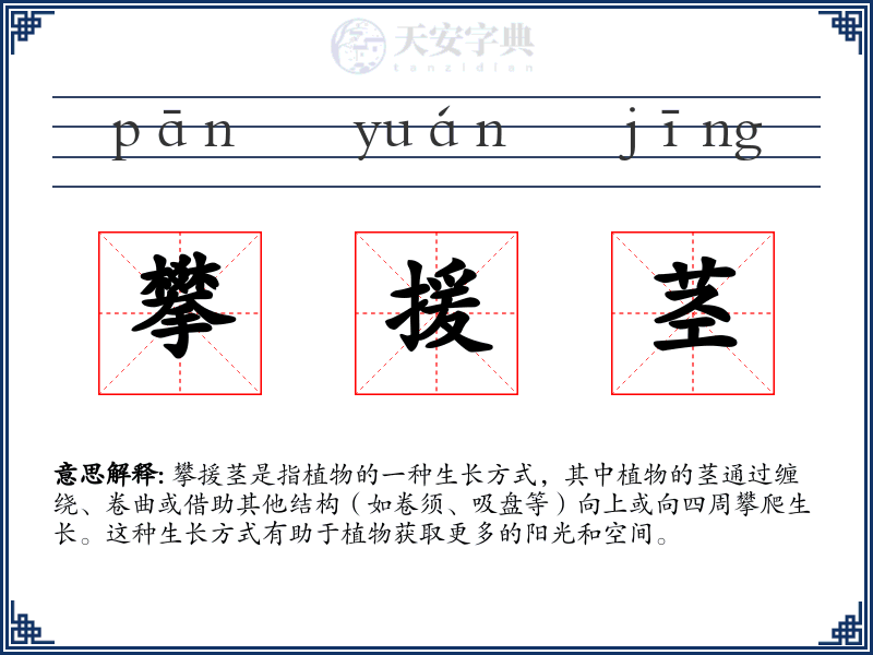 攀援茎