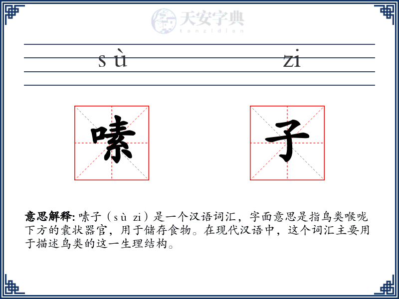 嗉子