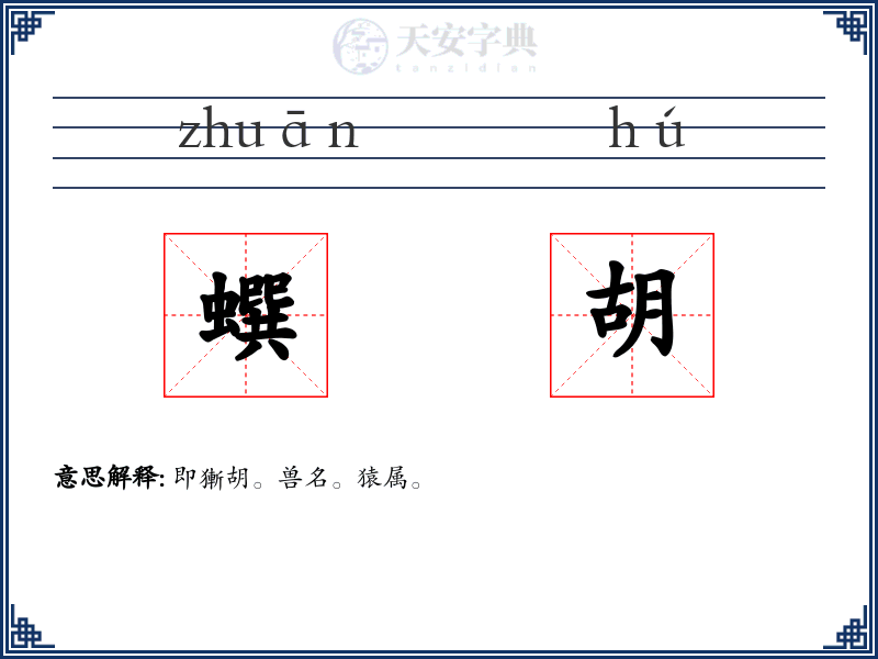 蟤胡