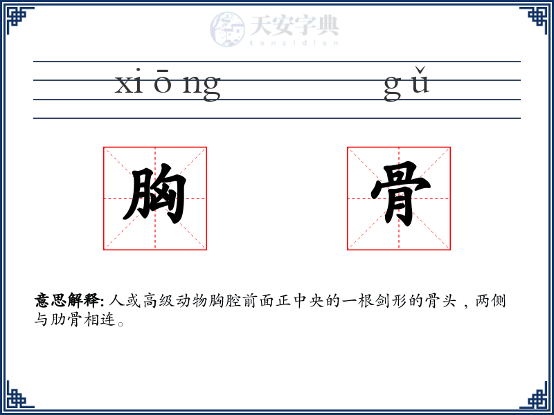 胸骨