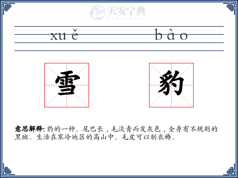 雪豹