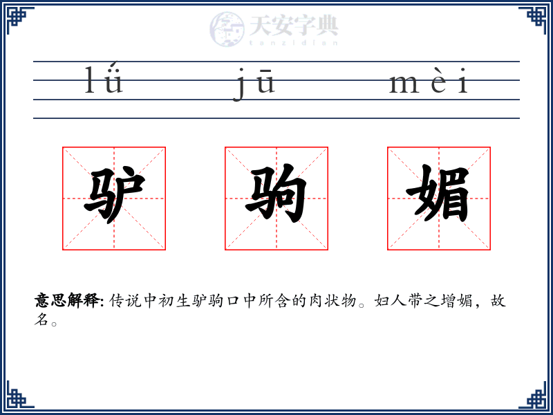 驴驹媚
